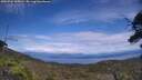 ./images/calvert/fitz-hugh-hecate/20250704/fitz-hugh-hecate20250704_145010M.jpg