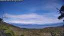 ./images/calvert/fitz-hugh-hecate/20250704/fitz-hugh-hecate20250704_151009M.jpg