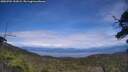 ./images/calvert/fitz-hugh-hecate/20250704/fitz-hugh-hecate20250704_152008M.jpg
