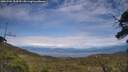 ./images/calvert/fitz-hugh-hecate/20250704/fitz-hugh-hecate20250704_154510M.jpg