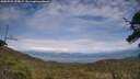 ./images/calvert/fitz-hugh-hecate/20250704/fitz-hugh-hecate20250704_155009M.jpg
