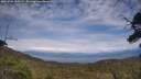 ./images/calvert/fitz-hugh-hecate/20250704/fitz-hugh-hecate20250704_155508M.jpg