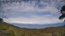 ./images/calvert/fitz-hugh-hecate/20250704/fitz-hugh-hecate20250704_160011M.jpg