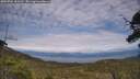 ./images/calvert/fitz-hugh-hecate/20250704/fitz-hugh-hecate20250704_163509M.jpg