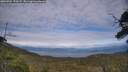 ./images/calvert/fitz-hugh-hecate/20250704/fitz-hugh-hecate20250704_170508M.jpg