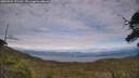 ./images/calvert/fitz-hugh-hecate/20250704/fitz-hugh-hecate20250704_171511M.jpg
