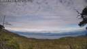 ./images/calvert/fitz-hugh-hecate/20250704/fitz-hugh-hecate20250704_172009M.jpg