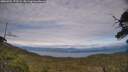 ./images/calvert/fitz-hugh-hecate/20250704/fitz-hugh-hecate20250704_172509M.jpg