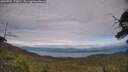 ./images/calvert/fitz-hugh-hecate/20250704/fitz-hugh-hecate20250704_173011M.jpg