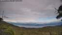 ./images/calvert/fitz-hugh-hecate/20250704/fitz-hugh-hecate20250704_173510M.jpg