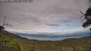./images/calvert/fitz-hugh-hecate/20250704/fitz-hugh-hecate20250704_174010M.jpg