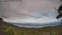 ./images/calvert/fitz-hugh-hecate/20250704/fitz-hugh-hecate20250704_174508M.jpg