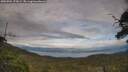 ./images/calvert/fitz-hugh-hecate/20250704/fitz-hugh-hecate20250704_175008M.jpg