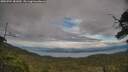 ./images/calvert/fitz-hugh-hecate/20250704/fitz-hugh-hecate20250704_181010M.jpg