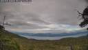 ./images/calvert/fitz-hugh-hecate/20250704/fitz-hugh-hecate20250704_182010M.jpg