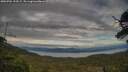 ./images/calvert/fitz-hugh-hecate/20250704/fitz-hugh-hecate20250704_193507M.jpg