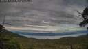 ./images/calvert/fitz-hugh-hecate/20250704/fitz-hugh-hecate20250704_194508M.jpg