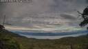 ./images/calvert/fitz-hugh-hecate/20250704/fitz-hugh-hecate20250704_195007M.jpg