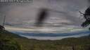 ./images/calvert/fitz-hugh-hecate/20250704/fitz-hugh-hecate20250704_195507M.jpg