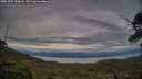 ./images/calvert/fitz-hugh-hecate/20250704/fitz-hugh-hecate20250704_200008M.jpg