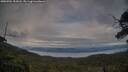 ./images/calvert/fitz-hugh-hecate/20250704/fitz-hugh-hecate20250704_203008M.jpg
