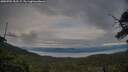 ./images/calvert/fitz-hugh-hecate/20250704/fitz-hugh-hecate20250704_203506M.jpg