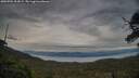 ./images/calvert/fitz-hugh-hecate/20250704/fitz-hugh-hecate20250704_204508M.jpg