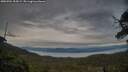./images/calvert/fitz-hugh-hecate/20250704/fitz-hugh-hecate20250704_205008M.jpg
