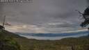./images/calvert/fitz-hugh-hecate/20250704/fitz-hugh-hecate20250704_211508M.jpg
