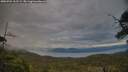 ./images/calvert/fitz-hugh-hecate/20250704/fitz-hugh-hecate20250704_212508M.jpg