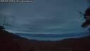 ./images/calvert/fitz-hugh-hecate/20250704/fitz-hugh-hecate20250704_223506M.jpg