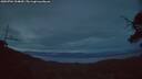 ./images/calvert/fitz-hugh-hecate/20250704/fitz-hugh-hecate20250704_224009M.jpg