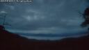 ./images/calvert/fitz-hugh-hecate/20250705/fitz-hugh-hecate20250705_043509M.jpg