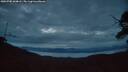 ./images/calvert/fitz-hugh-hecate/20250705/fitz-hugh-hecate20250705_044008M.jpg