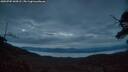 ./images/calvert/fitz-hugh-hecate/20250705/fitz-hugh-hecate20250705_044505M.jpg