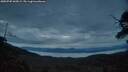 ./images/calvert/fitz-hugh-hecate/20250705/fitz-hugh-hecate20250705_045009M.jpg