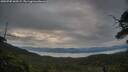 ./images/calvert/fitz-hugh-hecate/20250705/fitz-hugh-hecate20250705_060507M.jpg