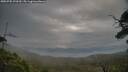 ./images/calvert/fitz-hugh-hecate/20250705/fitz-hugh-hecate20250705_070510M.jpg