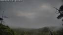 ./images/calvert/fitz-hugh-hecate/20250705/fitz-hugh-hecate20250705_072509M.jpg