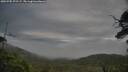 ./images/calvert/fitz-hugh-hecate/20250705/fitz-hugh-hecate20250705_073507M.jpg