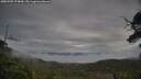 ./images/calvert/fitz-hugh-hecate/20250705/fitz-hugh-hecate20250705_074010M.jpg