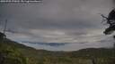 ./images/calvert/fitz-hugh-hecate/20250705/fitz-hugh-hecate20250705_075010M.jpg