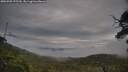 ./images/calvert/fitz-hugh-hecate/20250705/fitz-hugh-hecate20250705_075510M.jpg