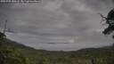 ./images/calvert/fitz-hugh-hecate/20250705/fitz-hugh-hecate20250705_080508M.jpg