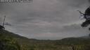 ./images/calvert/fitz-hugh-hecate/20250705/fitz-hugh-hecate20250705_081509M.jpg