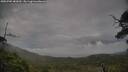./images/calvert/fitz-hugh-hecate/20250705/fitz-hugh-hecate20250705_082010M.jpg