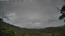 ./images/calvert/fitz-hugh-hecate/20250705/fitz-hugh-hecate20250705_082509M.jpg