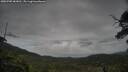 ./images/calvert/fitz-hugh-hecate/20250705/fitz-hugh-hecate20250705_083011M.jpg