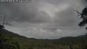 ./images/calvert/fitz-hugh-hecate/20250705/fitz-hugh-hecate20250705_083510M.jpg