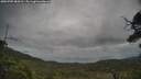 ./images/calvert/fitz-hugh-hecate/20250705/fitz-hugh-hecate20250705_084510M.jpg